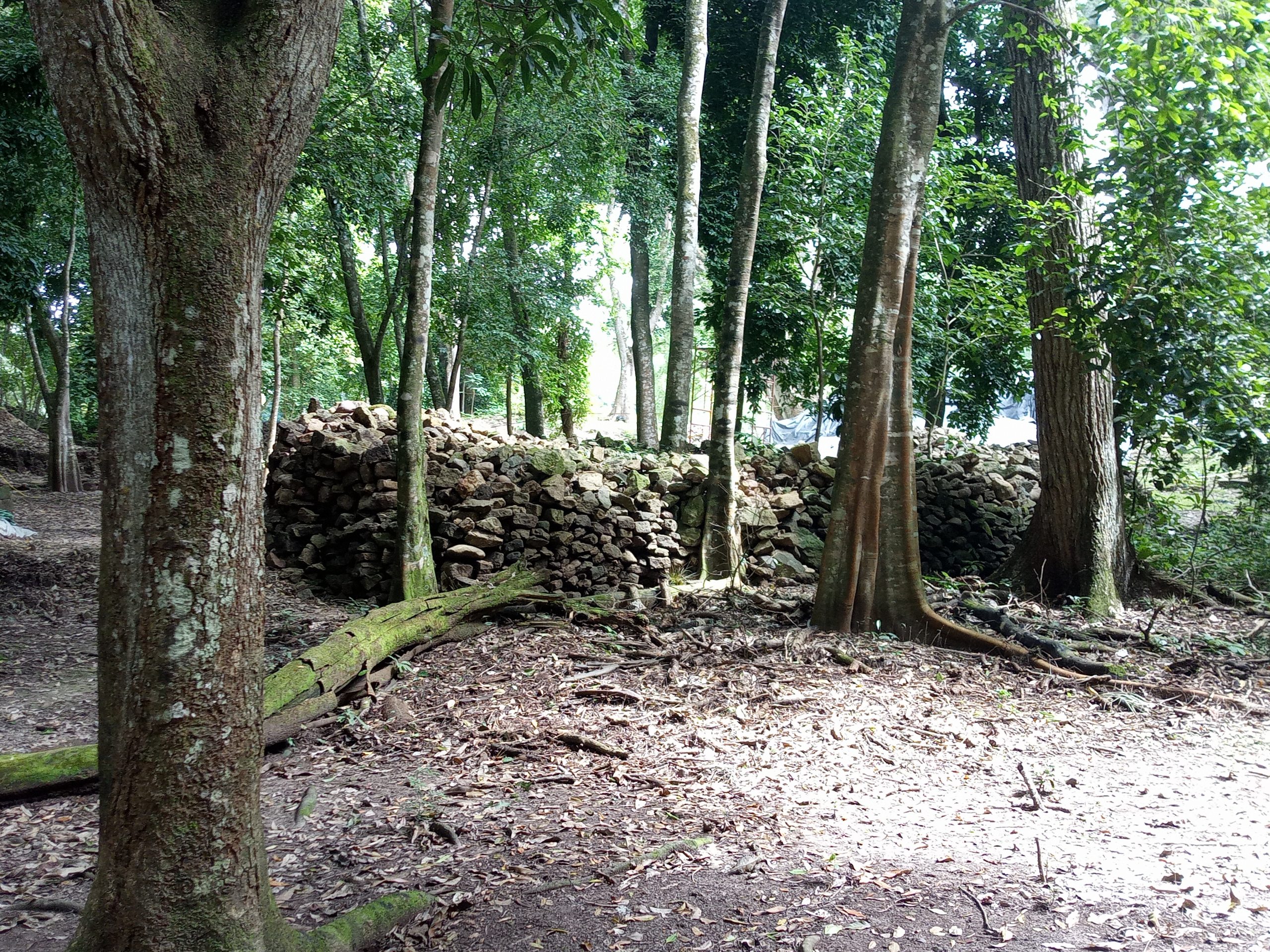 Ruines Copán Ruinas 